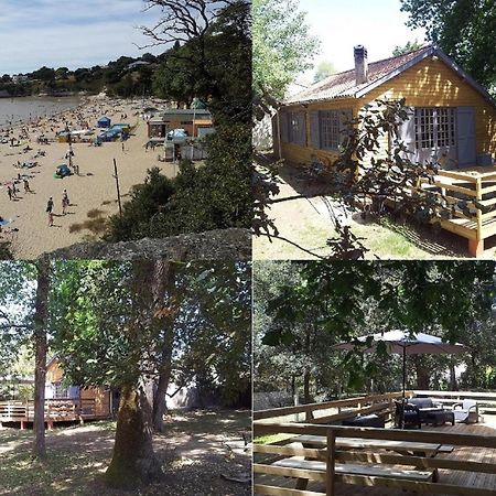 La Palombiere, Plage A 150M Meschers-sur-Gironde Exterior foto